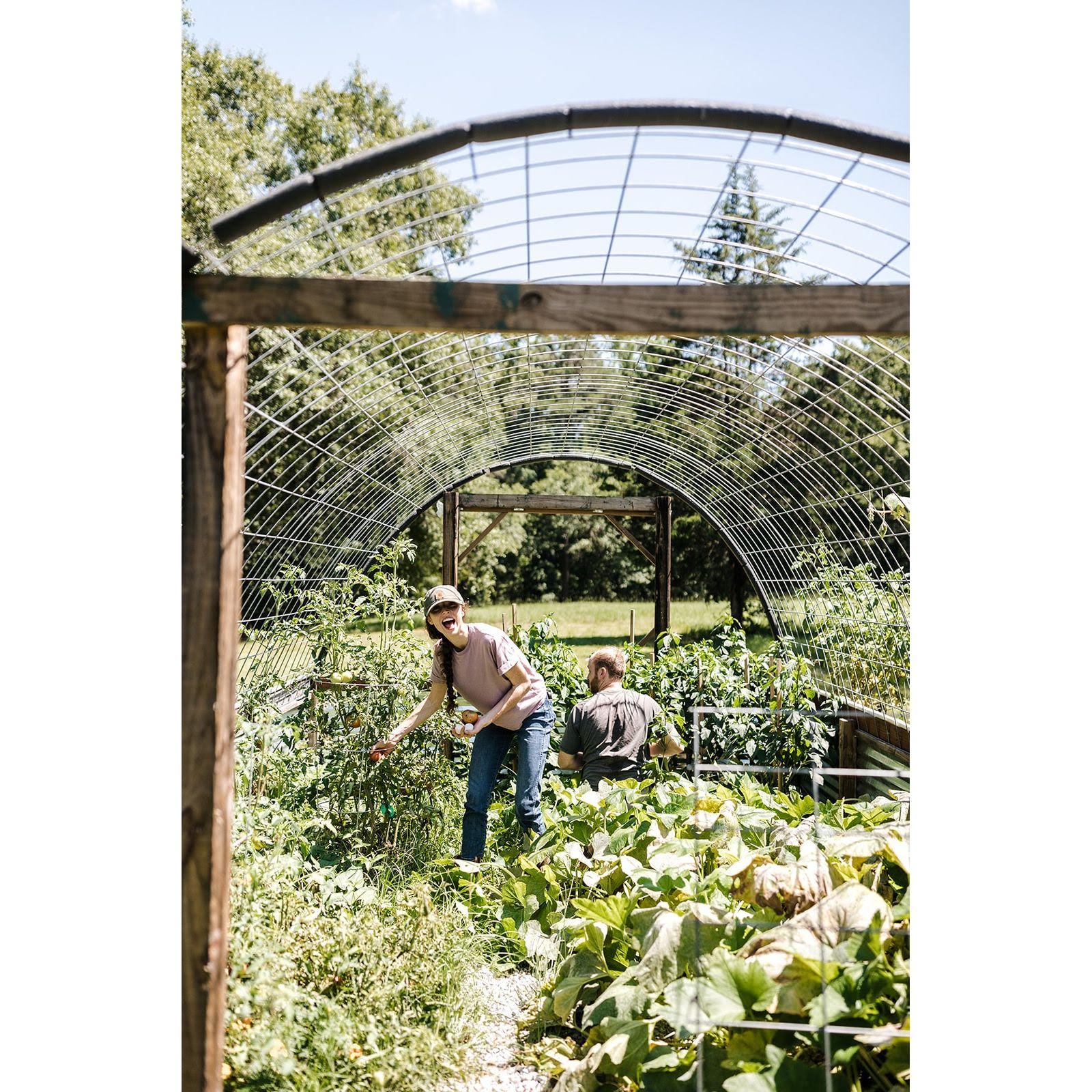 Shortly following the proposal we went to pick some tomatoes as a thanks to our lovely photogrpaher and my matron of honor Georgie!