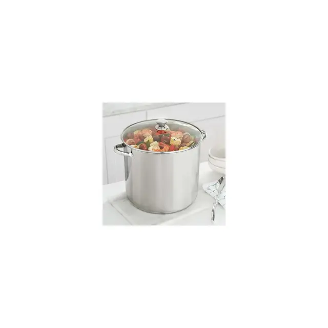 Stainless Steel 20-Quart Stock Pot with Glass Lid