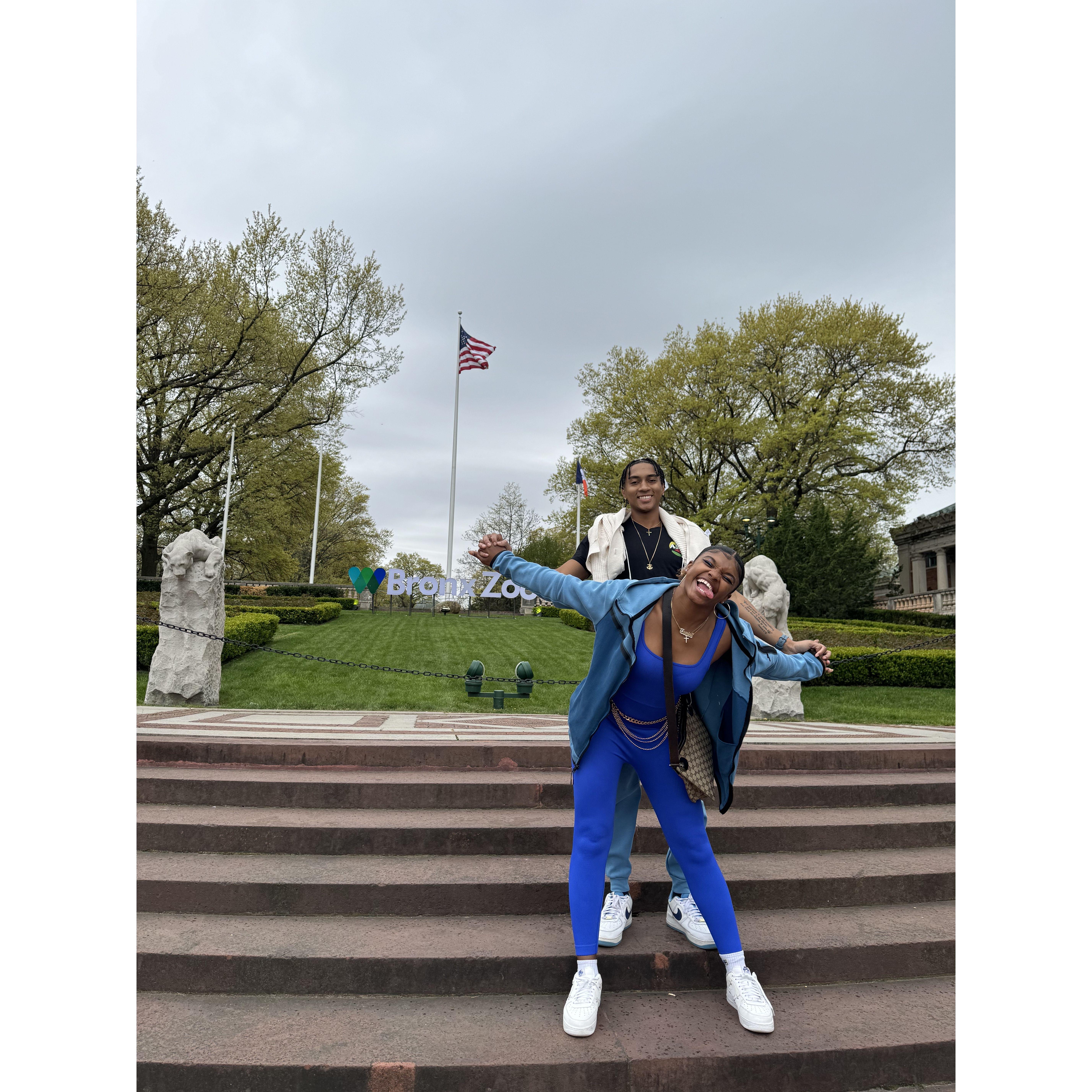 Favorite Pose at the Bronx Zoo