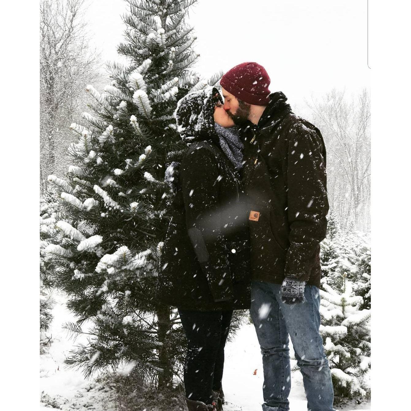 Found our first shared Christmas tree.