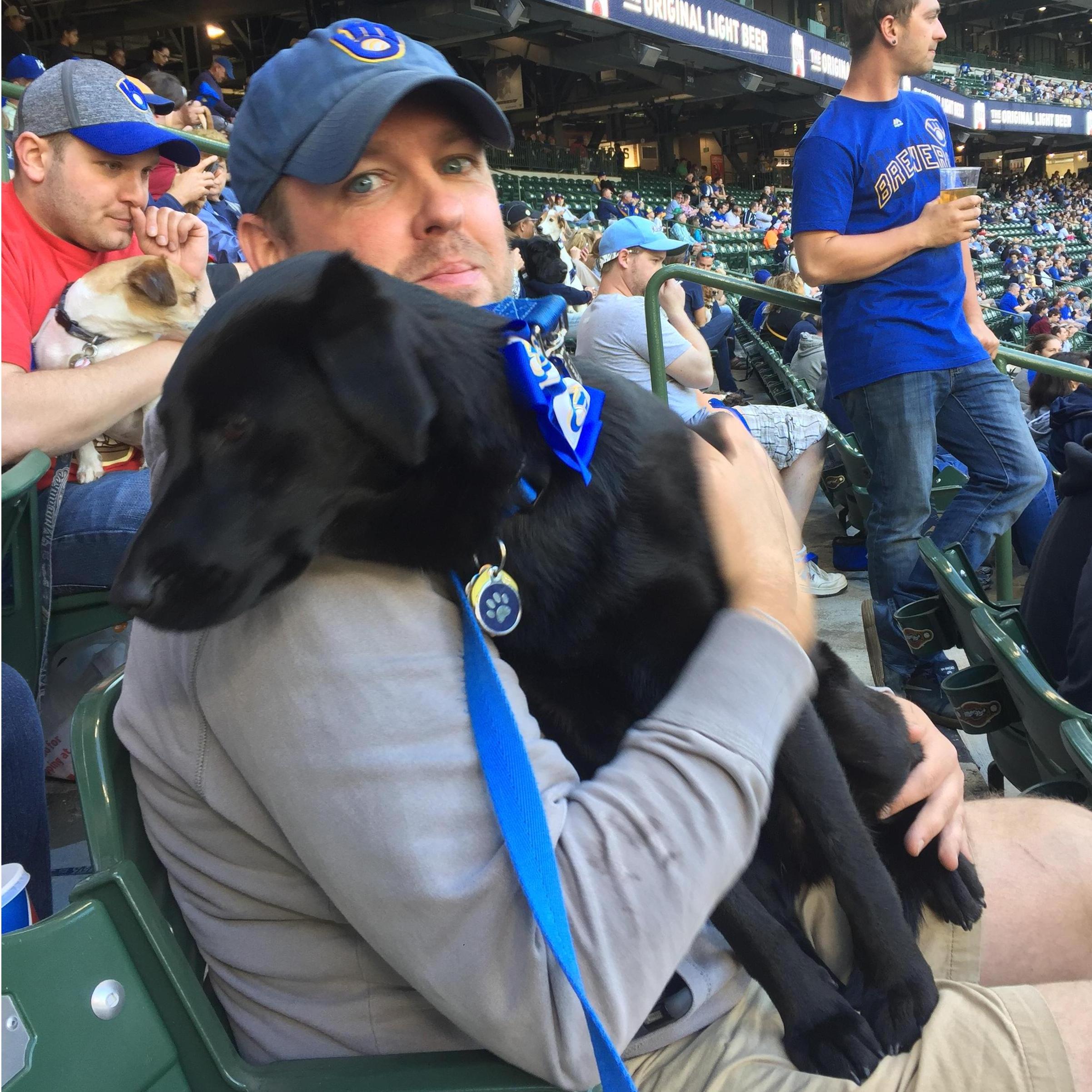 Bark at the Park