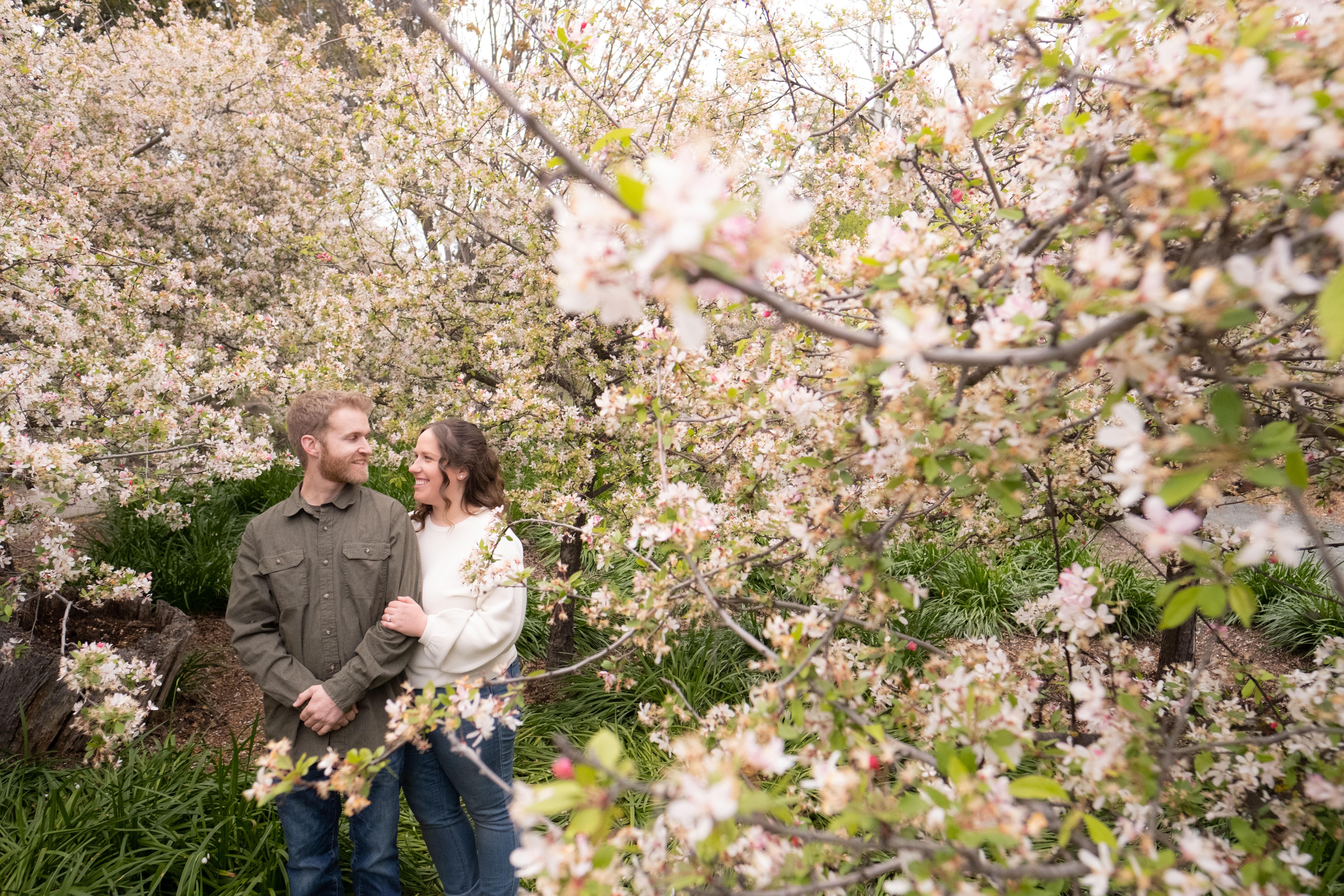 e2496384-9f9f-476e-8fcc-34acddbeeaec