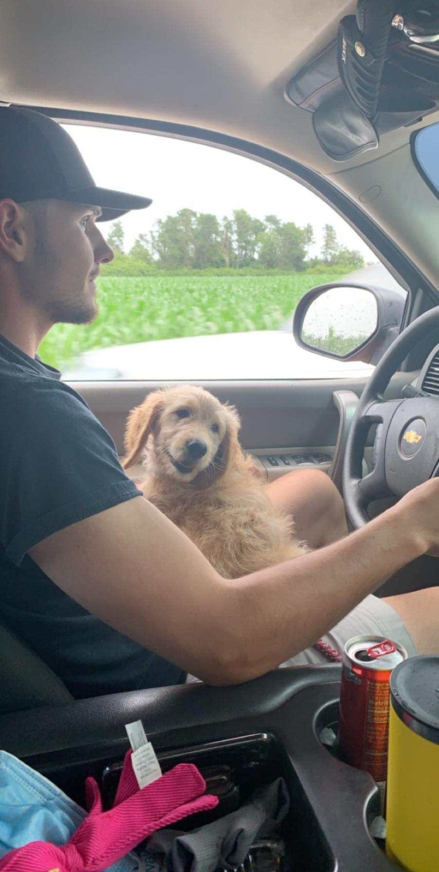 Moved fast and added to our family!!