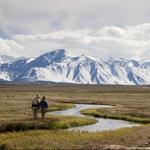 Upper Owens River