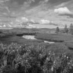 Julia Butler Hansen National Wildlife Refuge