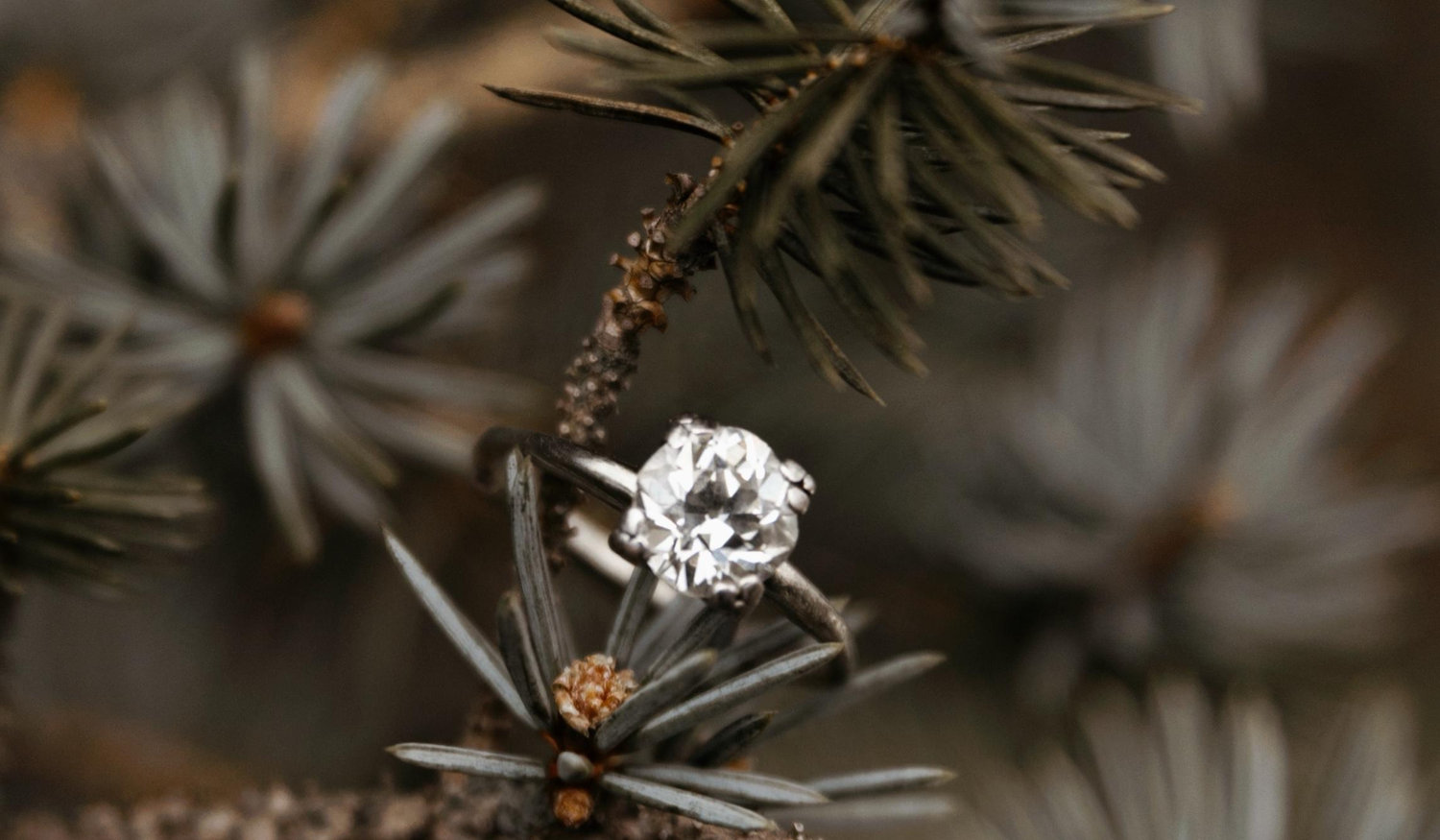 The Wedding Website of Alexandria Mahon and Wesley King