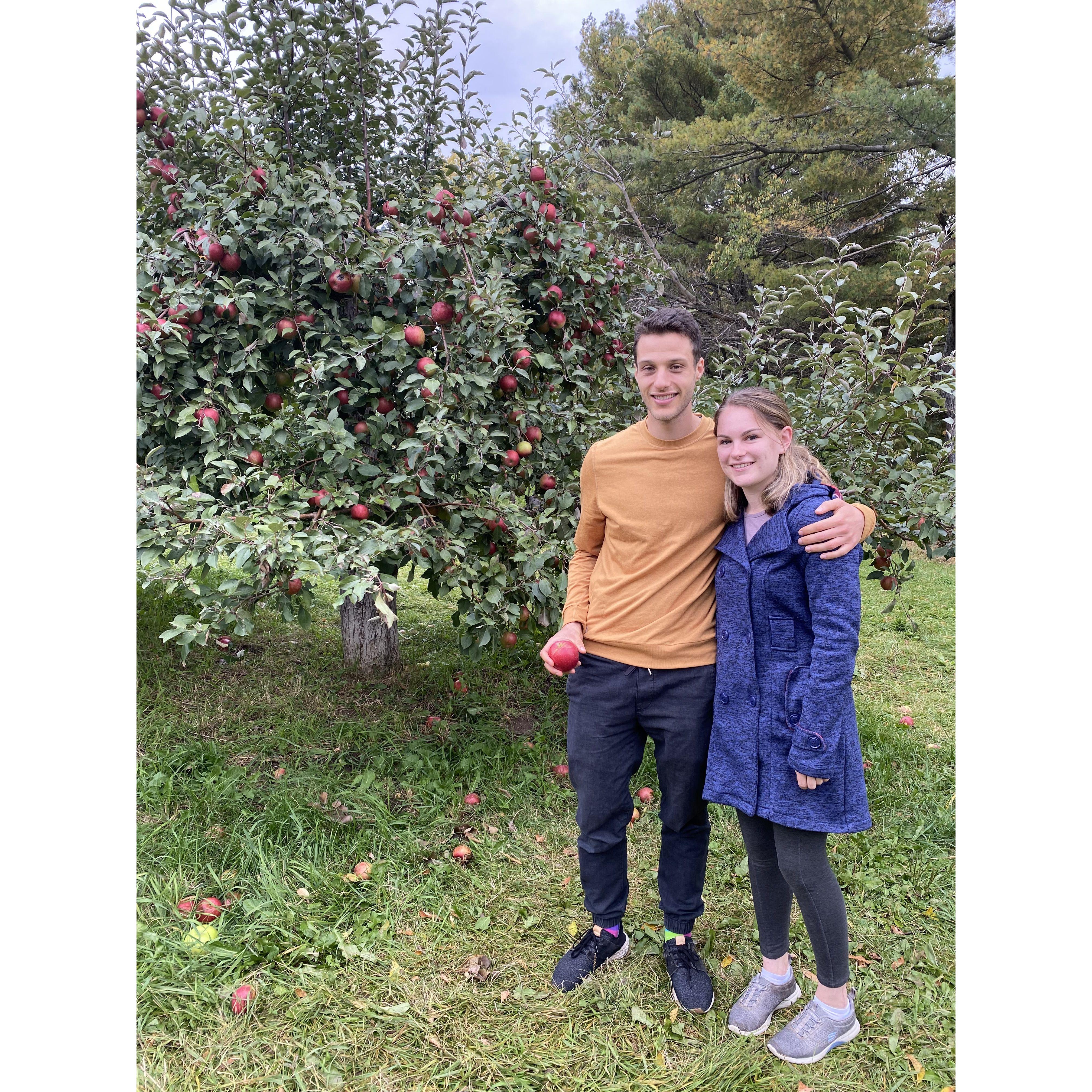 Apple picking
