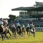 Dollar Days at Golden Gate Fields