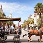Horse carriage tours stand