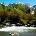 Walk | Telluride River Trail