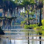Wakulla Springs State Park