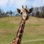 Battle Creek (Where Sara was Born!): Binder Park Zoo