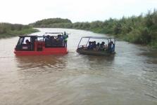 Black River Swamp Buggy Tour