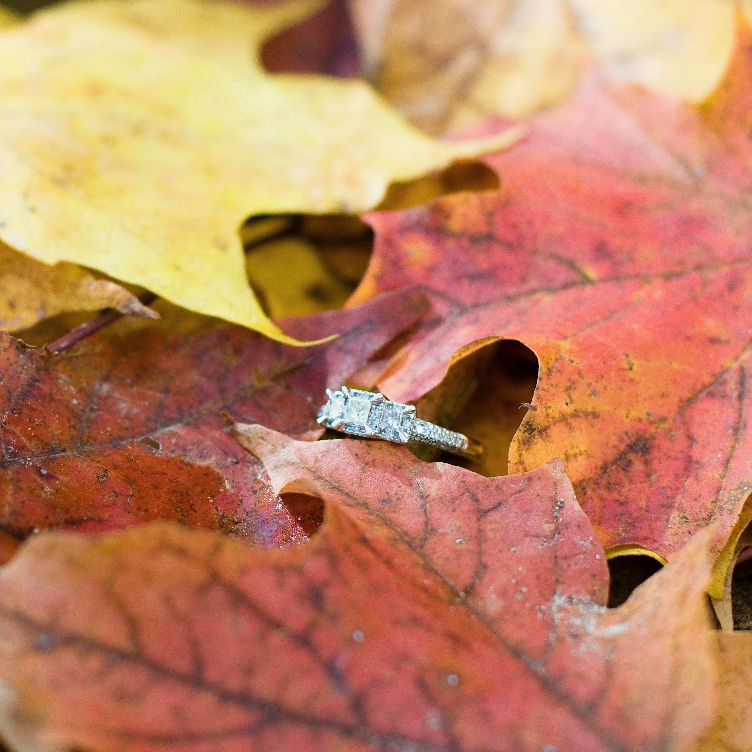 Engagement photo shoot!