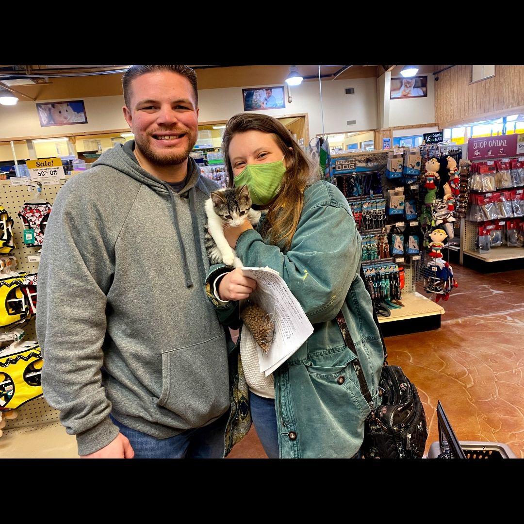 When we went to get our second cat, Gamora