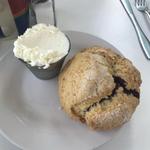 Venice, FL Restaurants