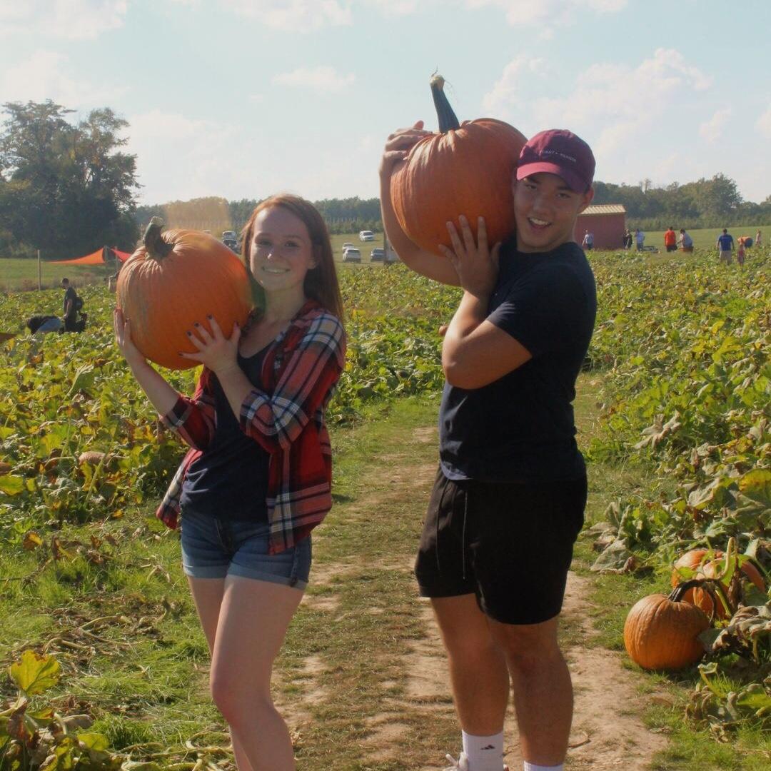2018 🎃