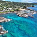 Shark’s Cove