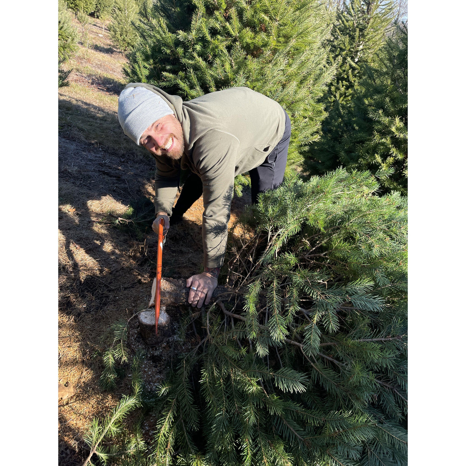 Tree cutting!