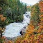 Dupont state park
