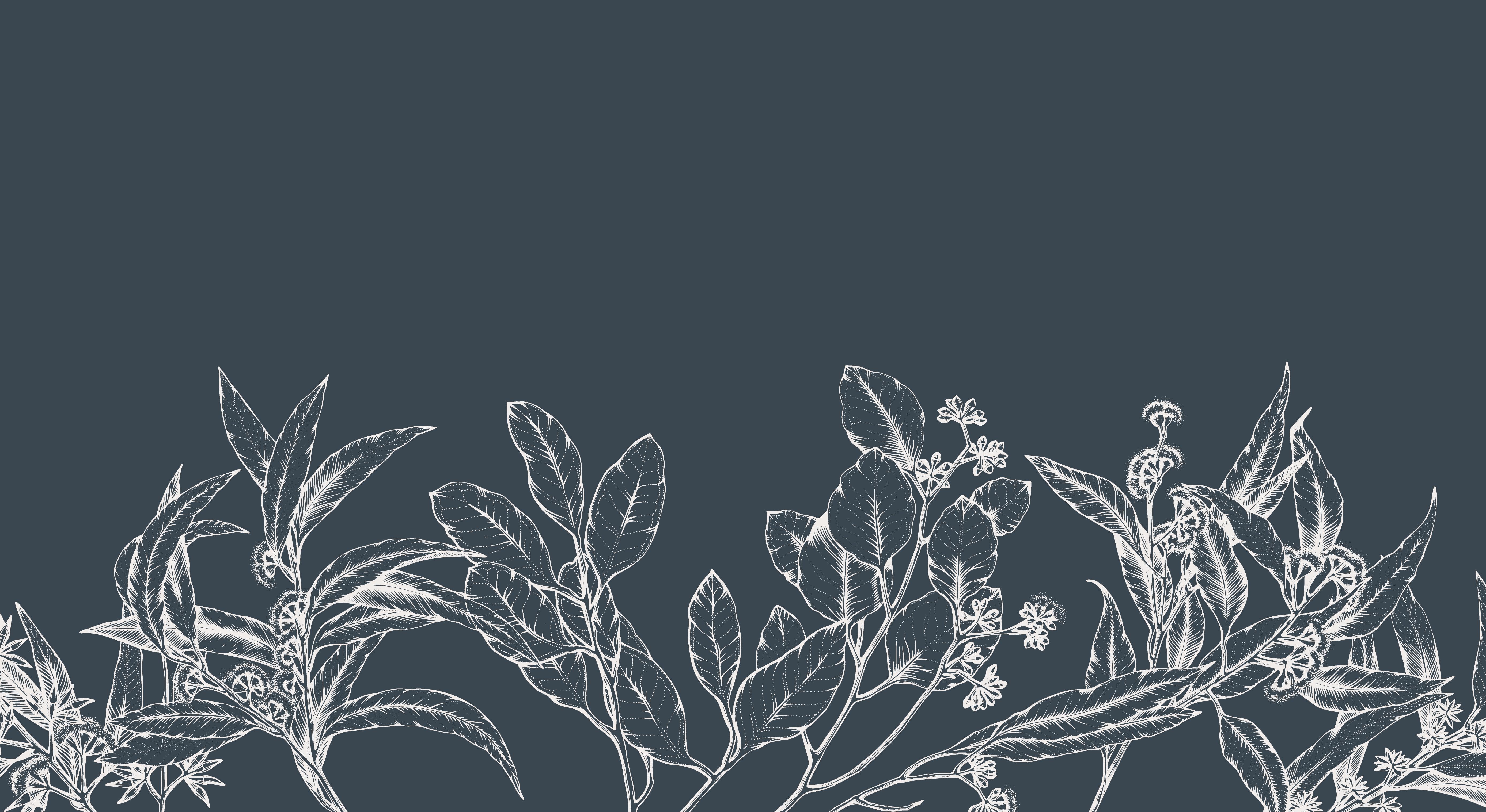 Footer image