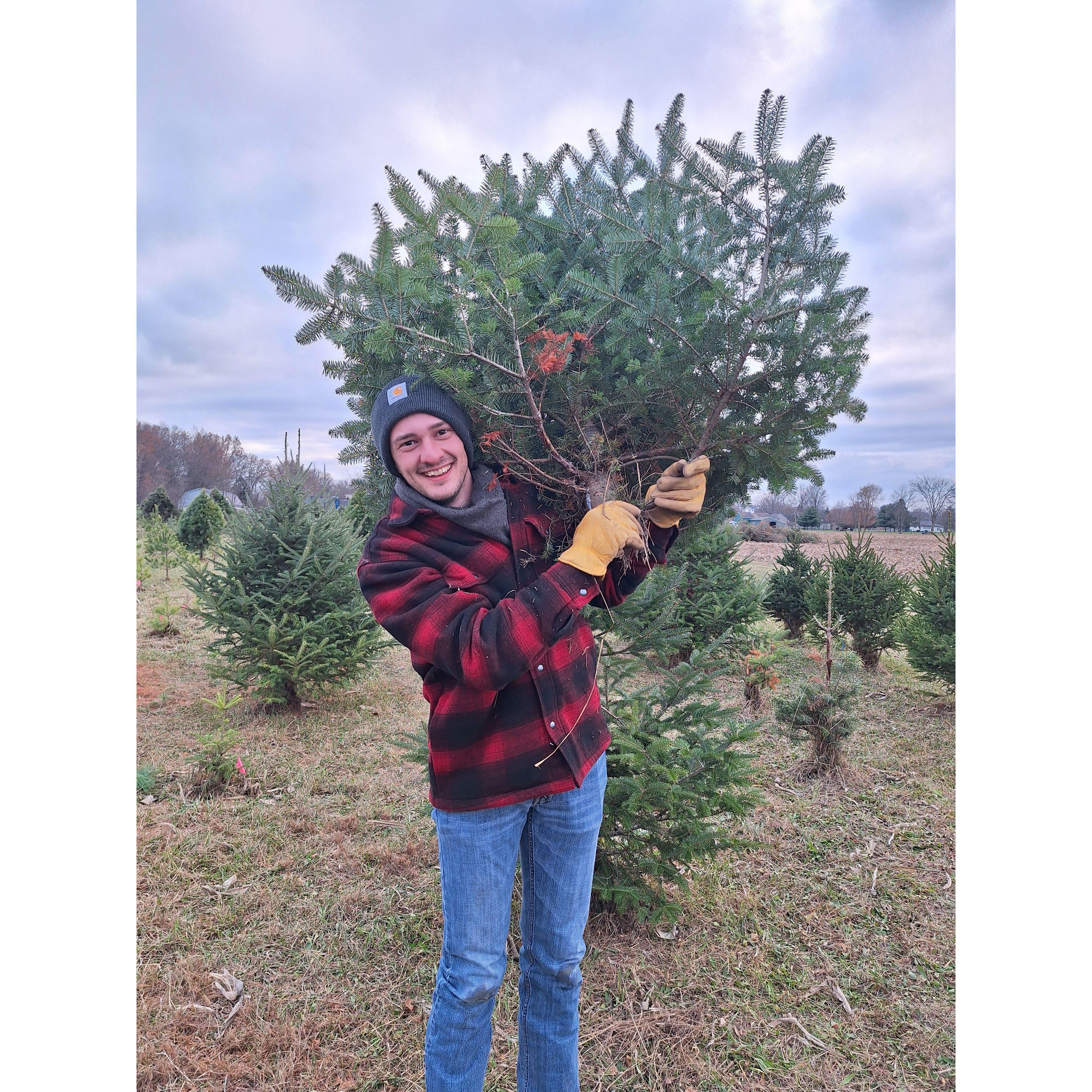 Allison convinced Jarett to get a live Christmas tree for the first time this past Advent. It was a fun adventure to pick it out together!