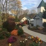 Troutman Vineyards