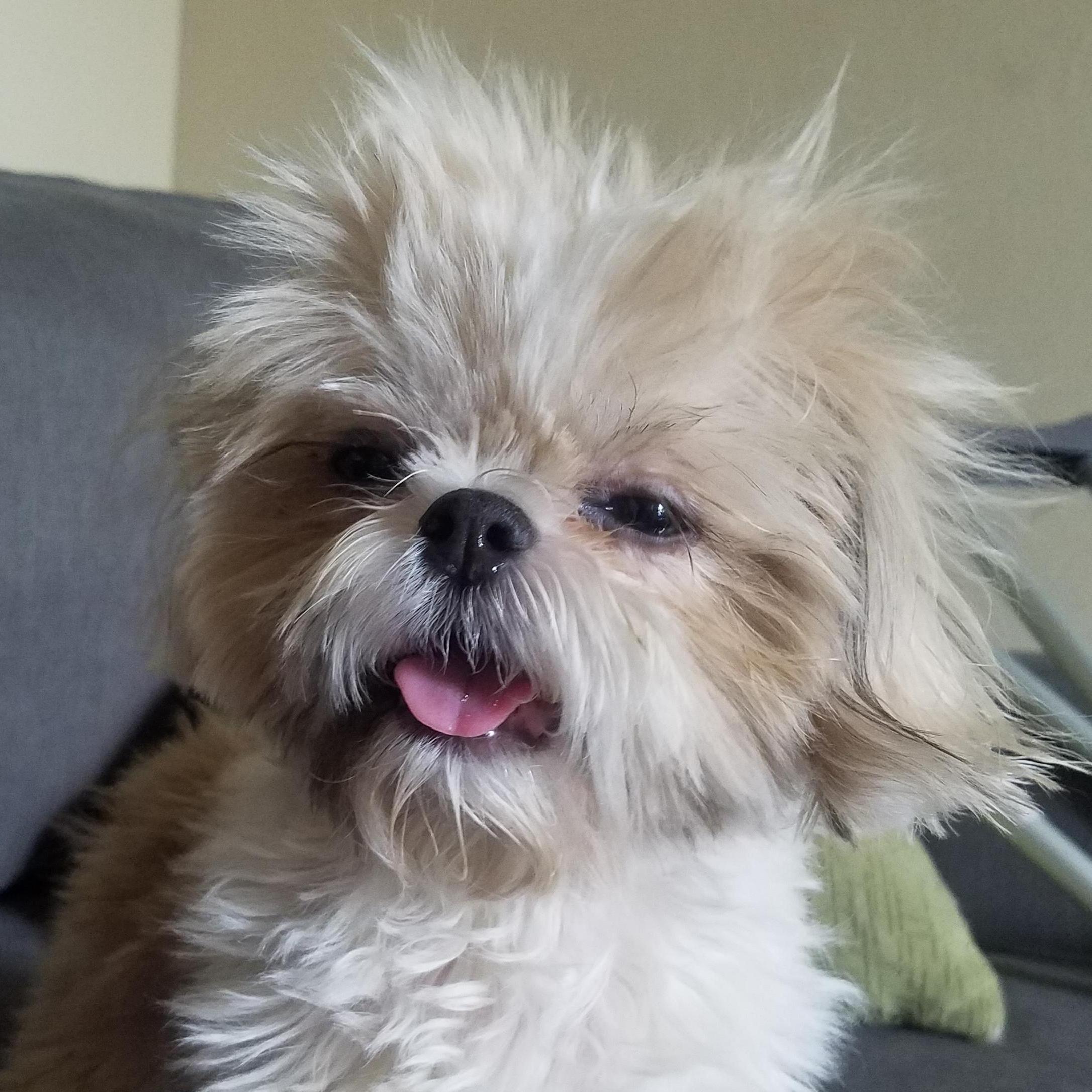 What we want everybody to feel like after our wedding...Our Teddy Bear.  Rest In Peace.