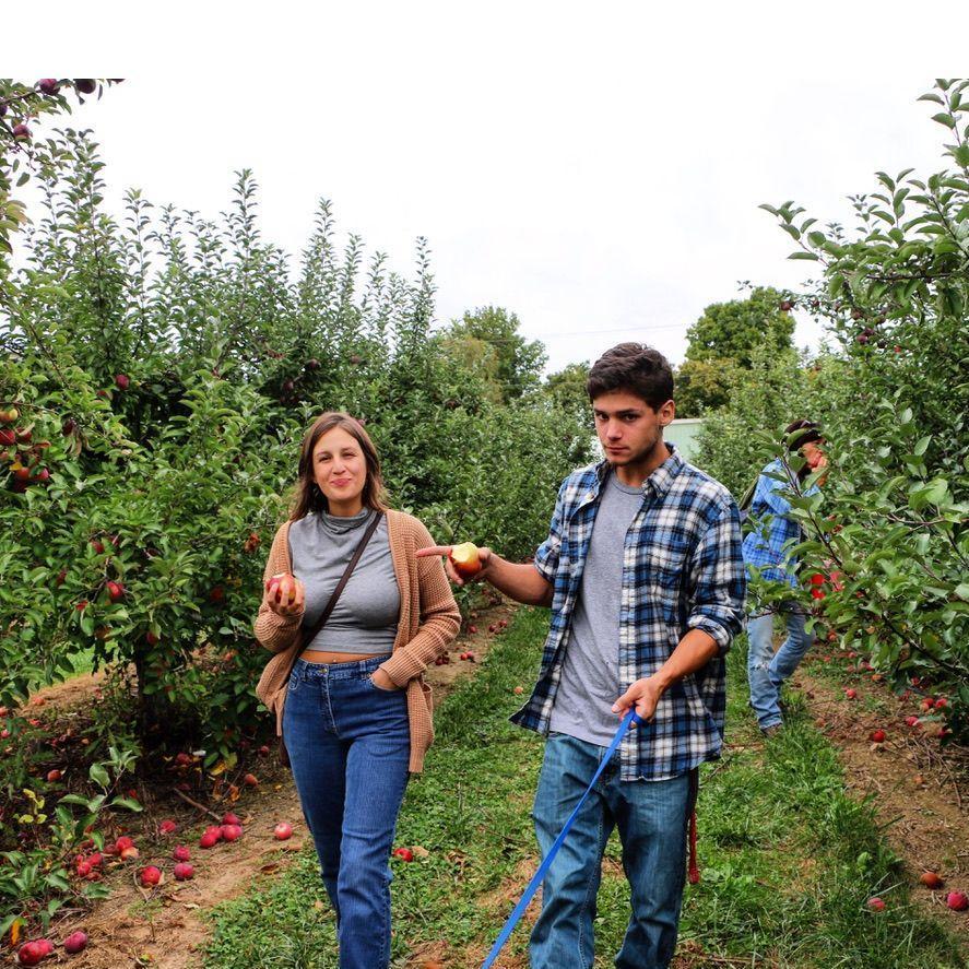 The famous New Paltz apple orchards