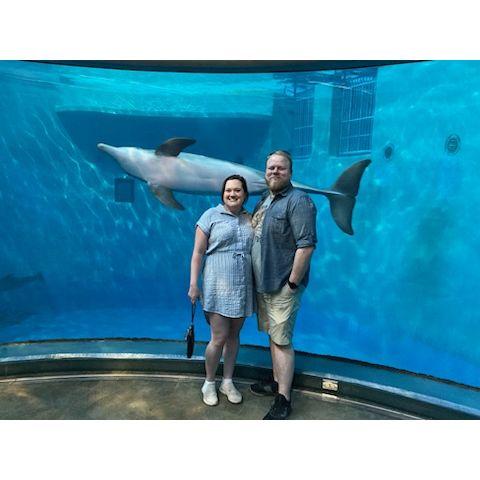 Dolphin bombed at the Indy Zoo