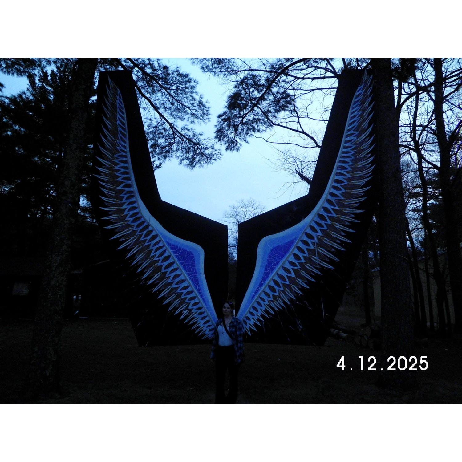 lets fly together