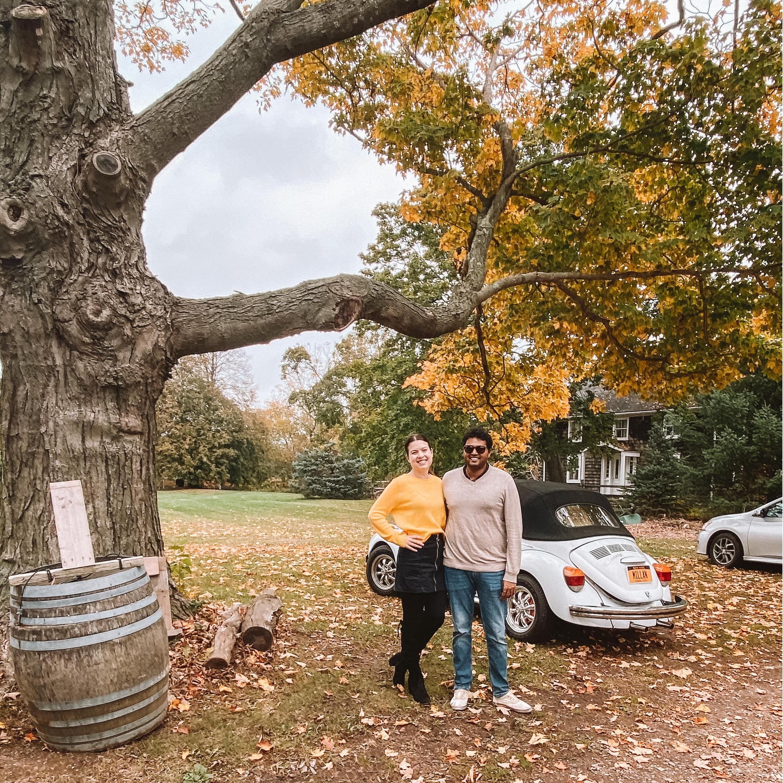 Wedding venue hunting, October 2020