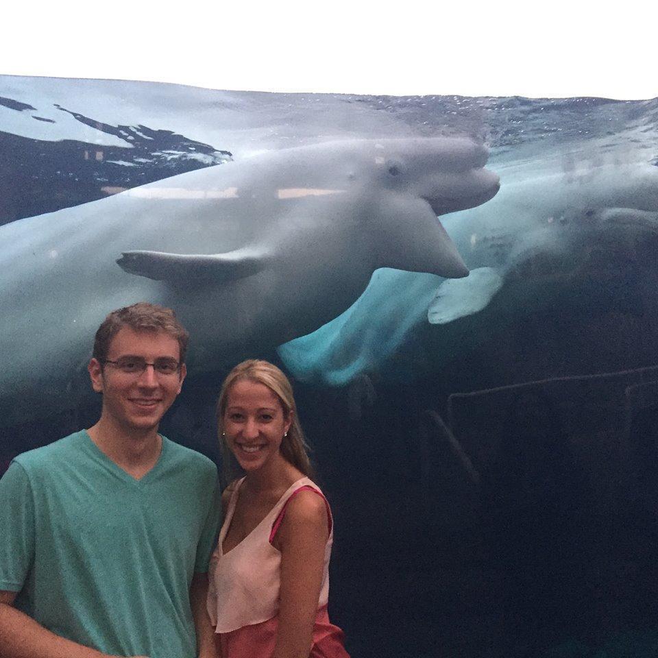 Cocktails with the Whales at Mystic Aquarium, 2017