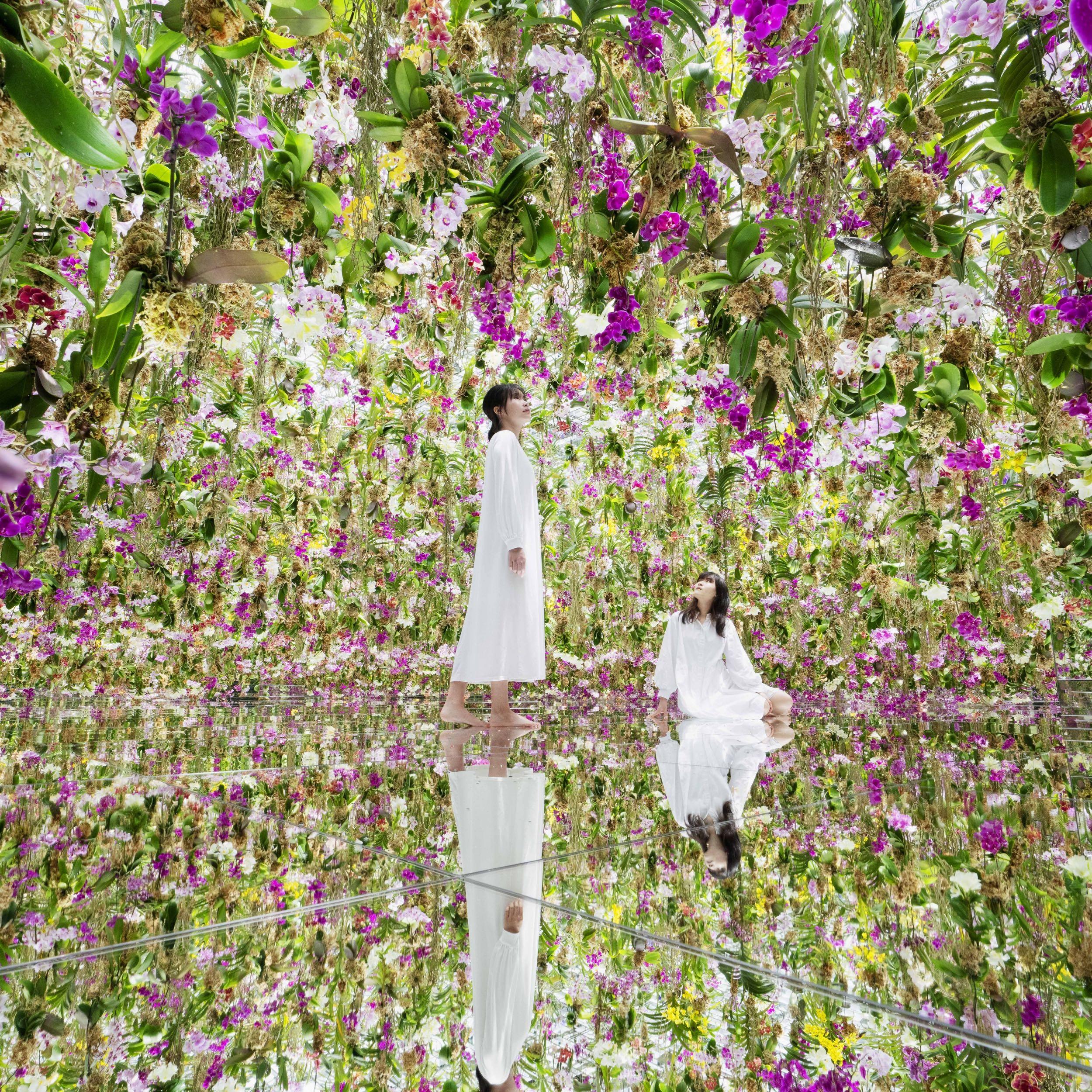 teamLab Planets Tokyo tickets