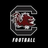 Williams-Brice Stadium