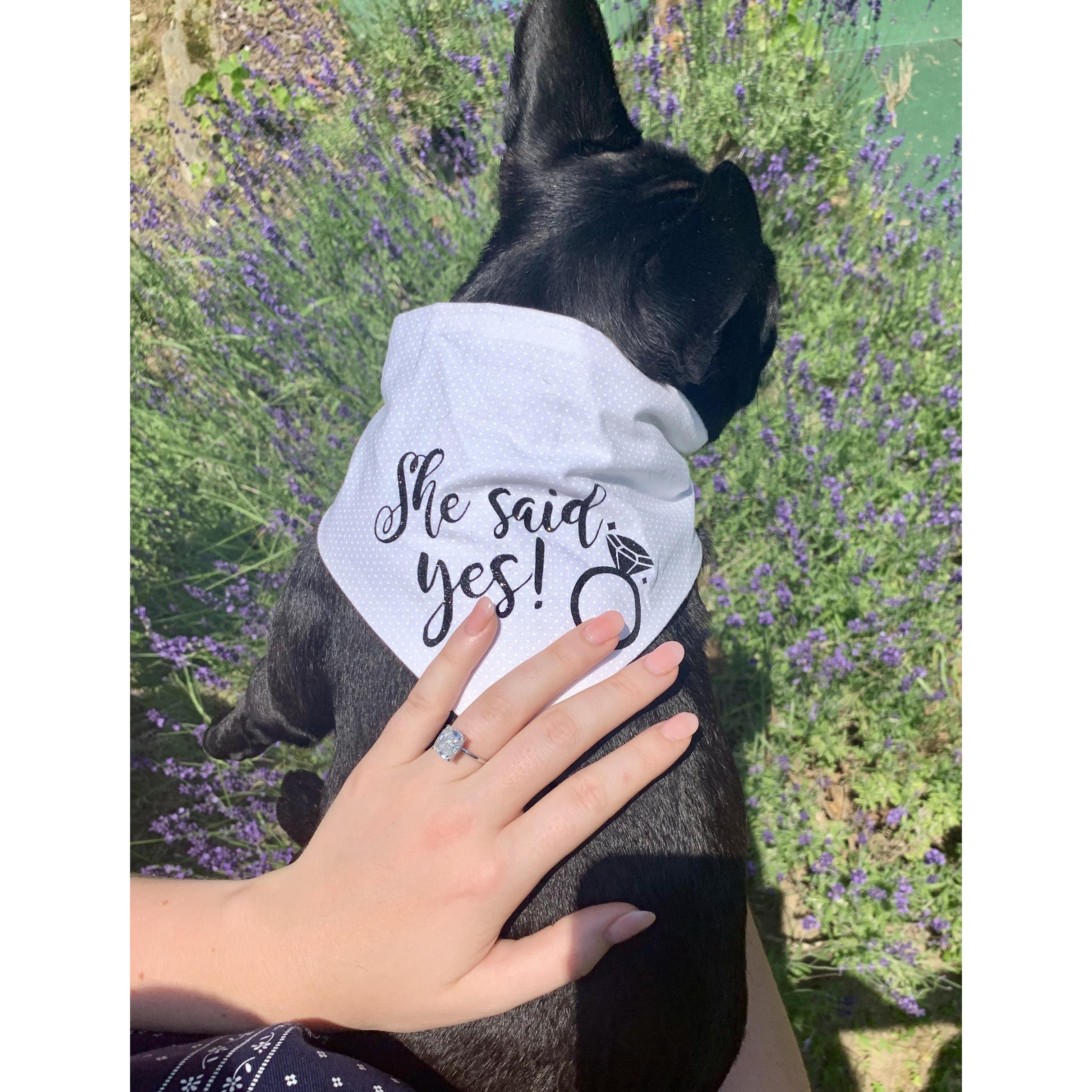 Olive is just as excited as us!