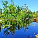 Naples Botanical Garden