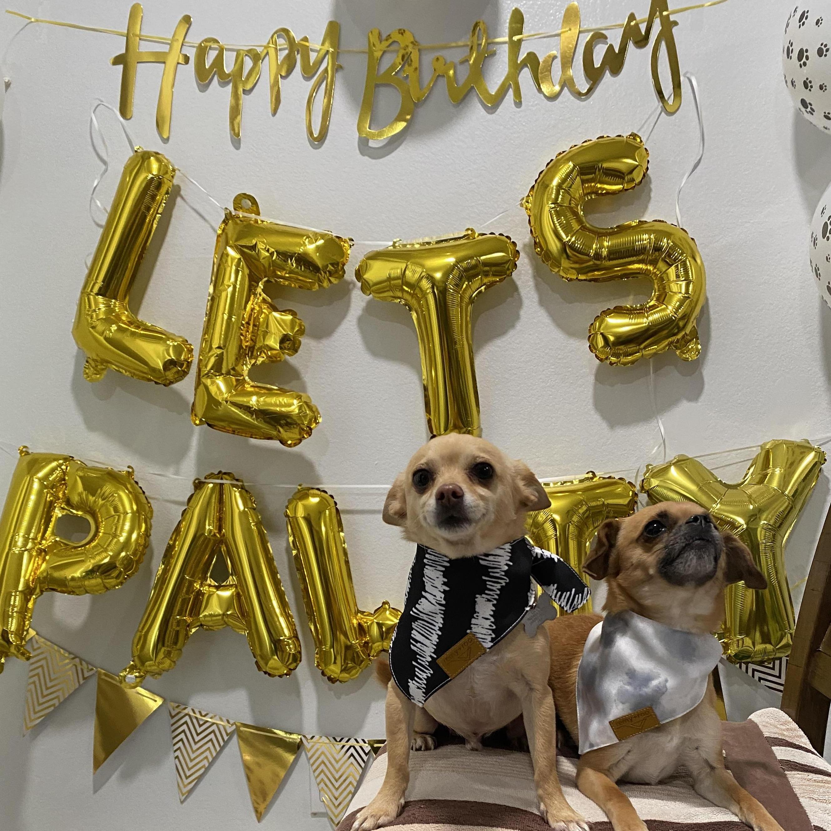 Our first pawty!