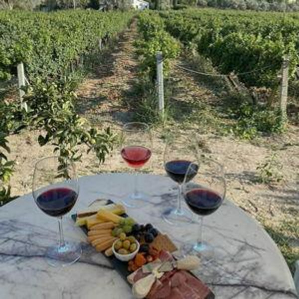 honeymoon wine tasting