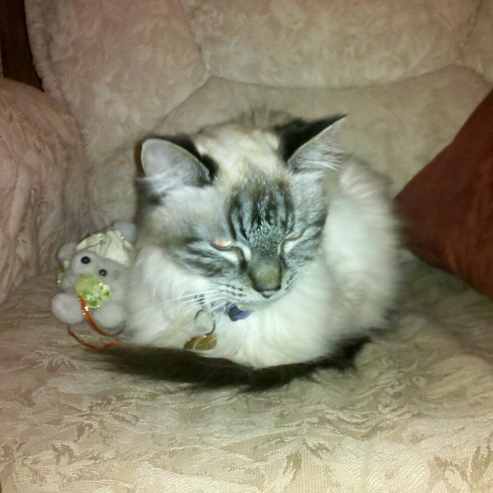 Butch with her Baby