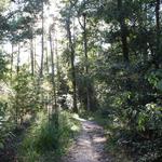 George Mitchell Preserve