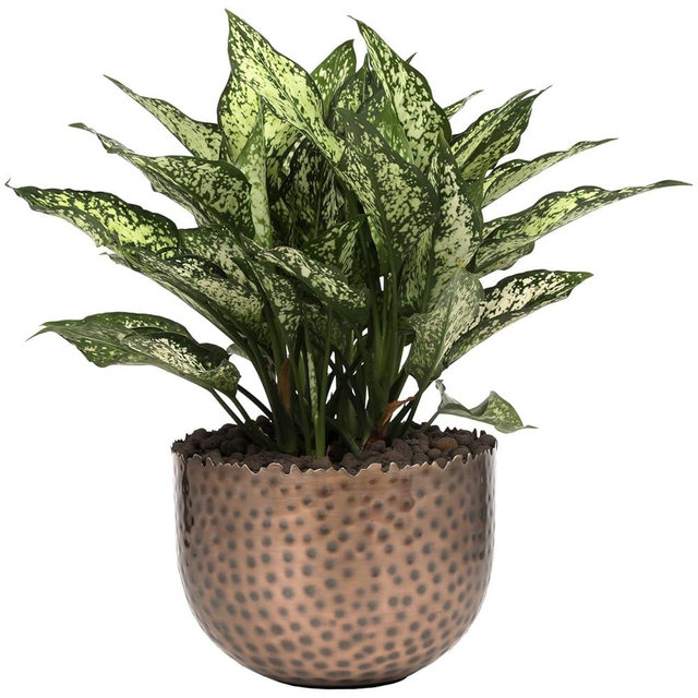 MyGift Antique Copper-Tone Metal Indoor Plant Pot with Hammered Design, Small Round Planter Bowl with Decorative Live Edge - Handcrafted in India