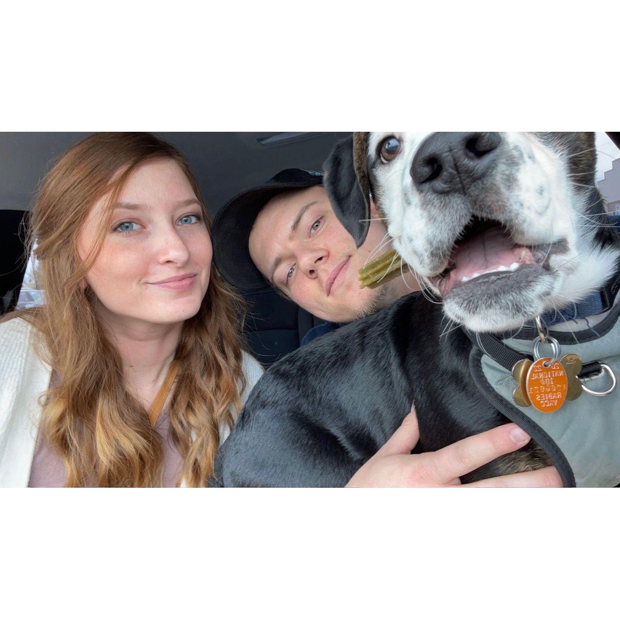 Adopting our fur baby Kylo!
