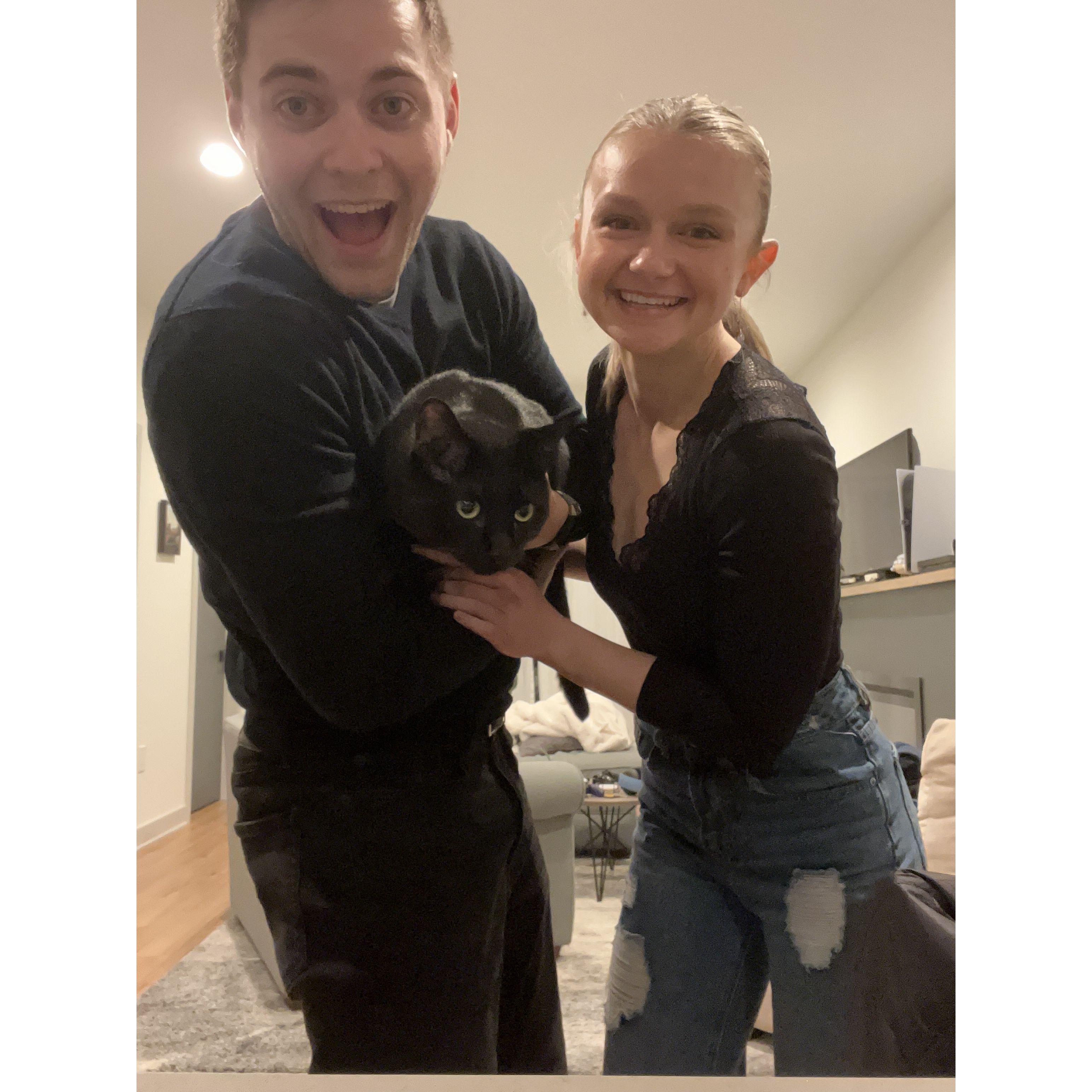 Adopting our cat Ozzy (December 2022)