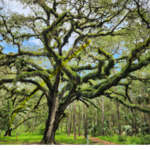 Trout Lake Nature Center