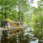 McGee's Louisiana Swamp & Airboat Tours
