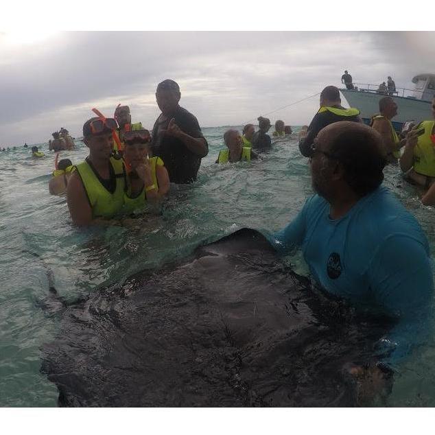 Swimming with Stingrays, May 2018