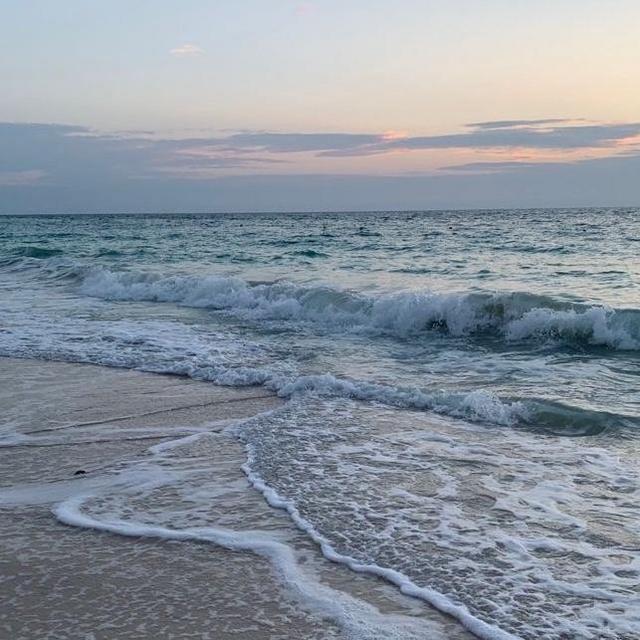 Donate to our honeymoon fund!