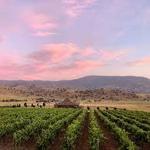 Triassic Vineyards