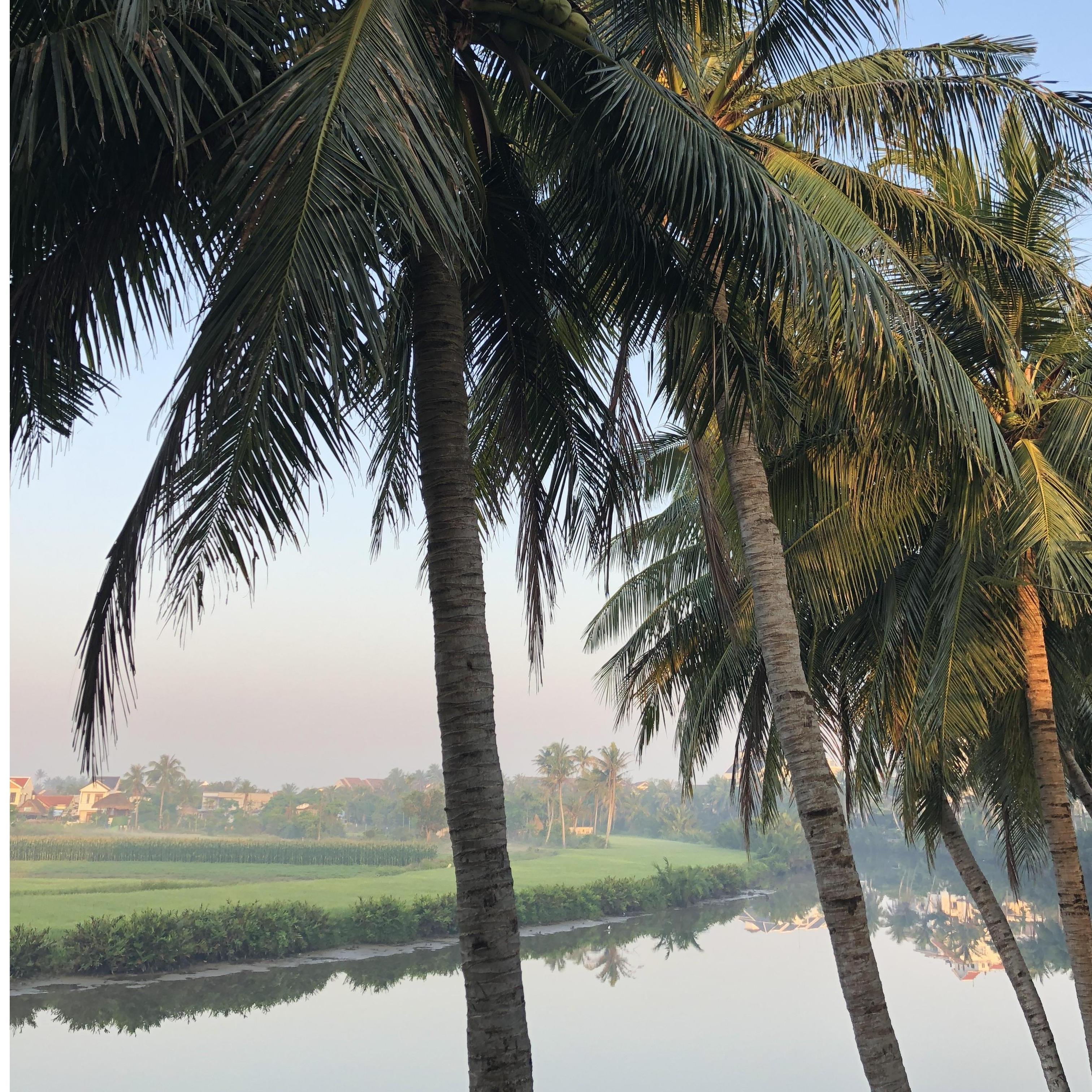 View from our room in Hoi An - April 2018